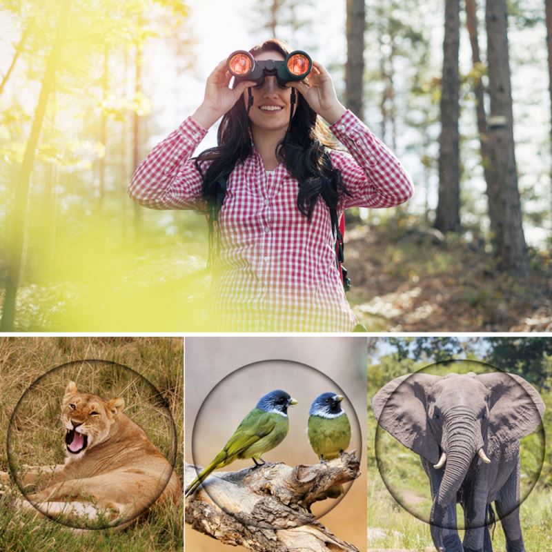 Binóculos Profissional HD 80x80 | Longo alcance & Visão Noturna [BLACK FRIDAY]