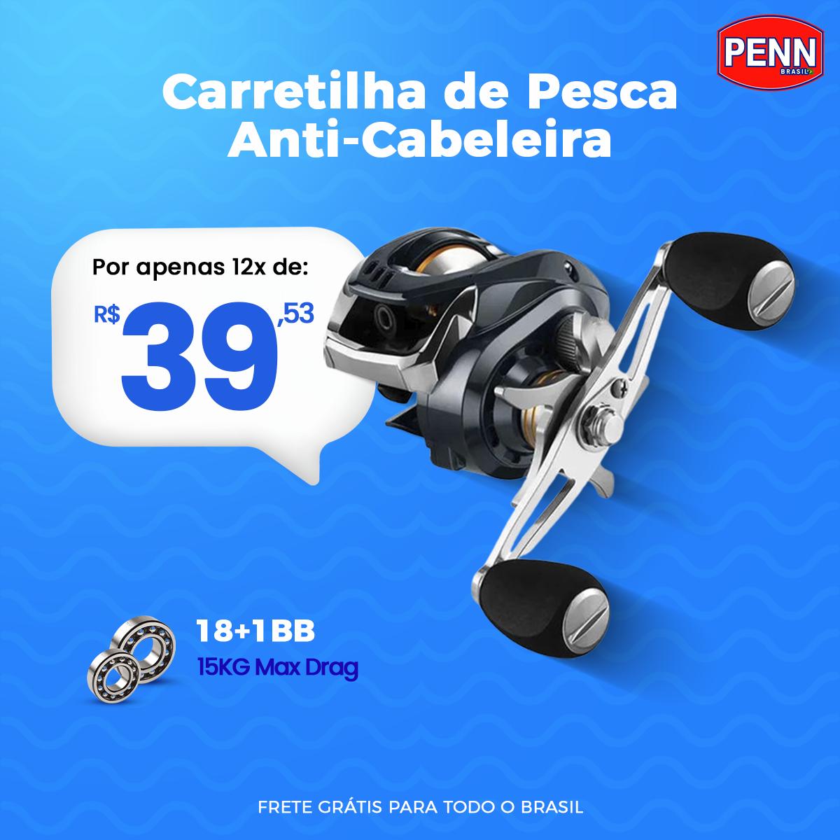 Carretilha PENN 15Kg Drag 18+1 Rolamentos (Potência Máxima para sua Pescaria)