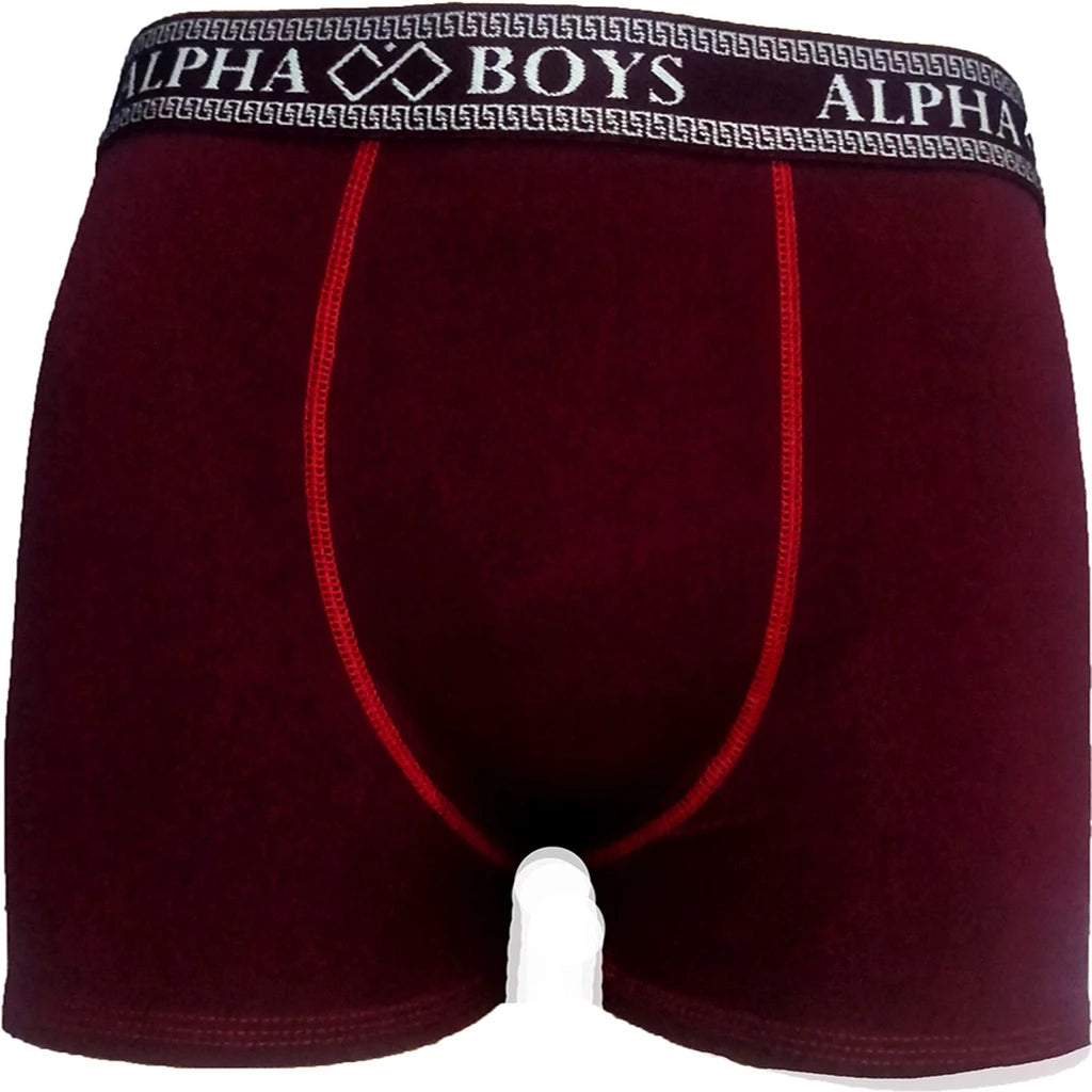 Kit 5 Cuecas Box de Microfibra Alpha Boys Original (APENAS 1 KIT POR PESSOA) - lojaidealgolden
