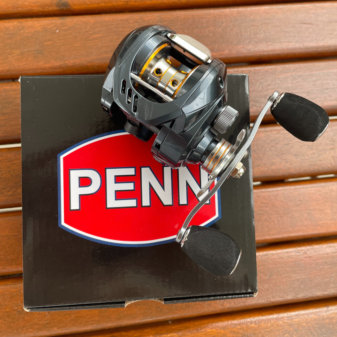 Carretilha PENN 15Kg Drag 18+1 Rolamentos (Potência Máxima para sua Pescaria)